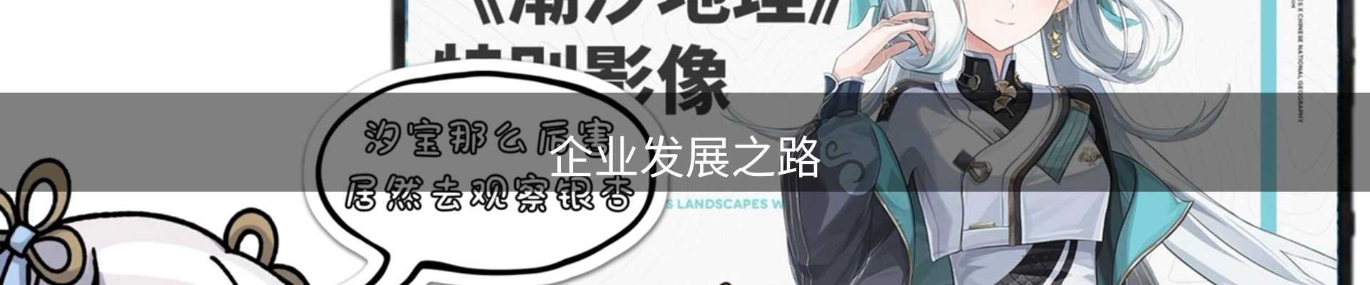 企业发展之路
